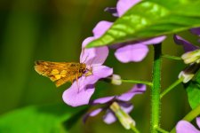 DSC_6765_edited.jpg