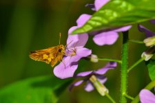 DSC_6766_edited.jpg