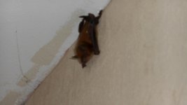 DSCN0722.jpg
