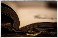 Day154-5.jpg