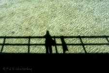 DSC_0275_webshot.jpg