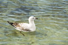 DSC_0353_webshot.jpg