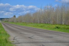 DSC_1607.jpg