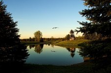 quiet evening1500.jpg