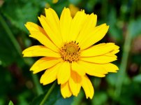 DSC_1188.jpg