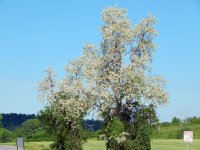 DSCN1734.jpg