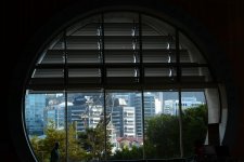 DSC_2696.jpg