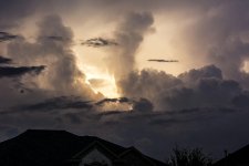 DSC_3662.jpg