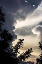 DSC_3625.jpg
