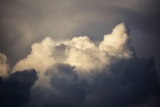 DSC_3682.jpg