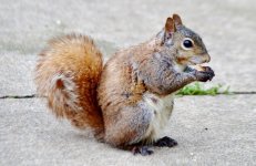 DSC_1194.jpg