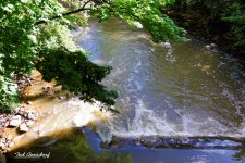 DSC_0012_1020.JPG