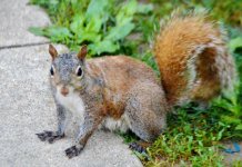DSC_1192.jpg