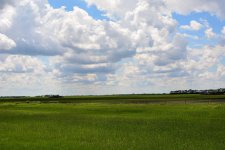 DSC_5994.jpg