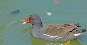 DSC_3019.jpg