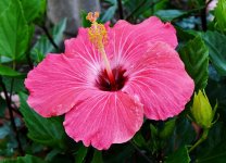 DSC_1244.jpg
