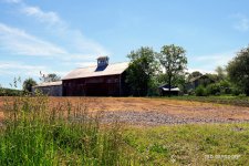 Medina Barns 4_1033.jpg