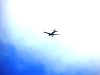 DSCN9555.jpg