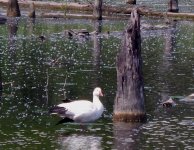 DSCN1744.jpg