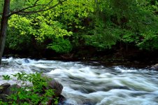 DSC_2585.jpg