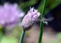 DSC_3386.JPG
