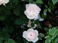DSCN1748.jpg