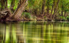 DSC_0804_HDR_webshot.jpg