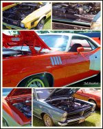 Muscle Cars.jpg