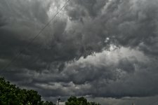 DSC_7362 web.jpg
