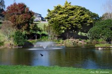 Peninsula GC Water LOL.jpg