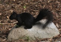 DSC_5814.jpg