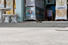 eyes-3.jpg