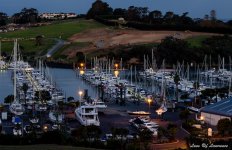 Gulf Harbour marina LOL.jpg