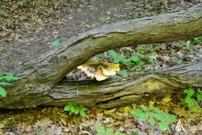DSC_3427.jpg