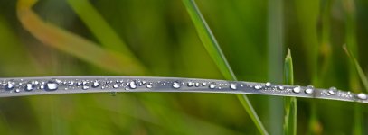 DSC_0475.jpg