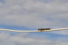 DSC_1794.jpg