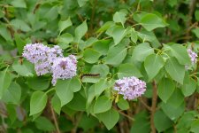 DSC_1830.jpg