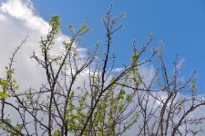 DSC_1904.jpg