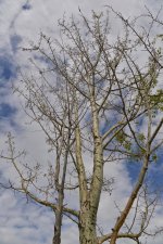 DSC_1748.jpg