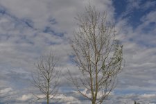 DSC_1751.jpg