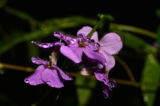 DSC_7540_edited.jpg