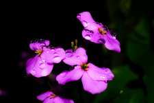 DSC_7541_edited.jpg