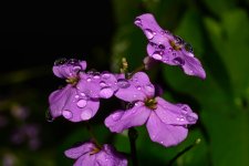 DSC_7542_edited.jpg