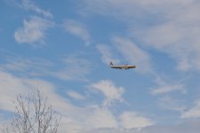 DSC_1767.jpg