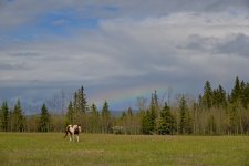 DSC_1855.jpg