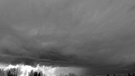 DSC_1917.jpg