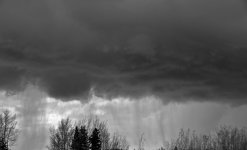 DSC_1919.jpg