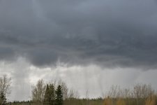 DSC_1920.jpg