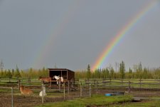 DSC_1942.jpg