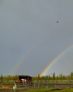 DSC_1944.jpg